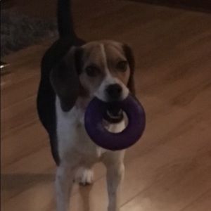 Meet your Posher, Sonia